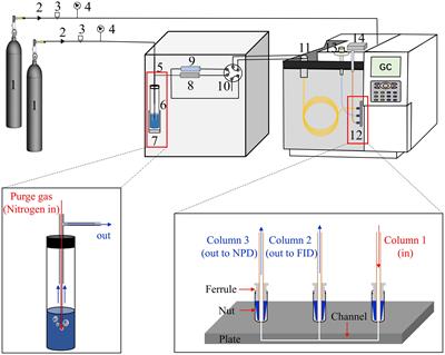 Simultaneous determination of seawater trimethylamine and methanol by purge and trap gas chromatography using dual nitrogen-phosphorus detector and flame-ionization detector